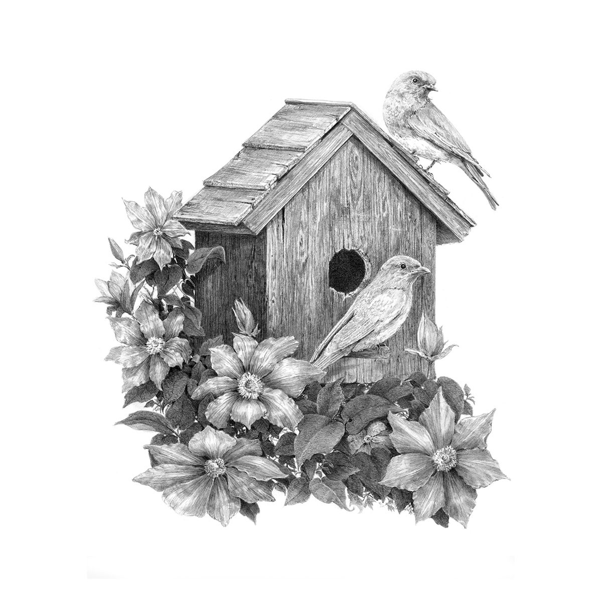 Royal Комплект за рисуване с моливи графика Птици и къщичка